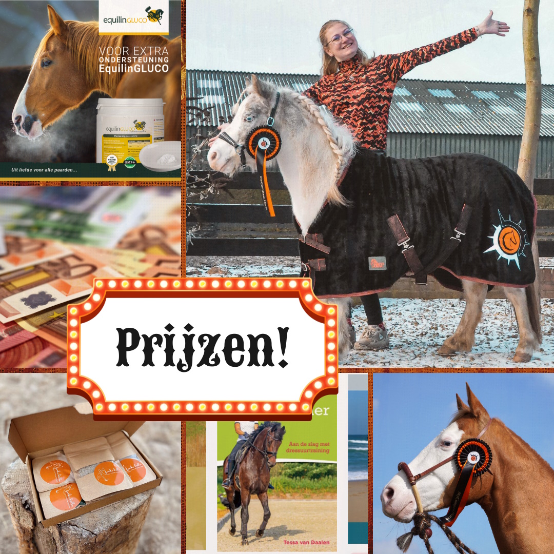 Knikken aankunnen ideologie Holland got Horsemanship Contest - Golden Oldies MyCompass.Horse
